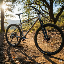 Lightspeed ocoee titanium for sale  Elkins