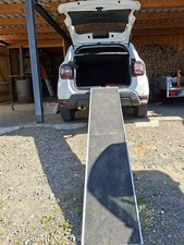 Ausklappbare hunderampe klappb gebraucht kaufen  Mühlingen