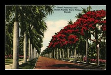 Linen postcard royal for sale  West Chester