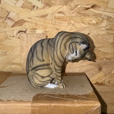North light siamese for sale  ELY