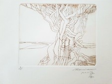 Usado, Guillermo ceniceros Sin TITULO [sem título] Colecionável Estampa de Arte Mexicana Raro comprar usado  Enviando para Brazil