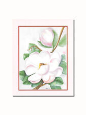 Magnolia flowers watercolor for sale  Springdale