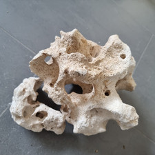 aquarium dekoration gebraucht kaufen  Ebringen