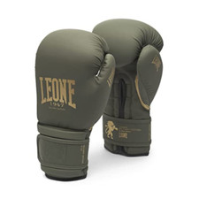 Leone 1947 gn059 usato  Roccagloriosa