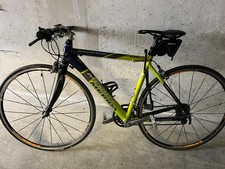 Damen fitnessrad carbon gebraucht kaufen  Ludwigshafen am Rhein