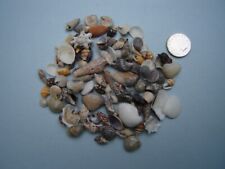 100 tiny mixed for sale  UK
