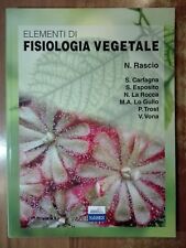 Nicoletta rascio elementi usato  Cento