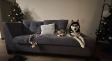 Sectional couch for sale  Charlotte