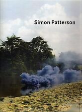 Arte simon patterson usato  Milano