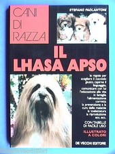 Lhasa apso stefano usato  Salerno