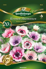 Kronen anemonen bicolor gebraucht kaufen  Quedlinburg
