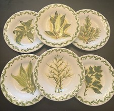 Tabletops botanical herbs for sale  Scottsdale