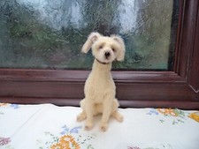 Miniature whippet lurcher for sale  CHESTERFIELD