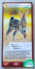 Carte merveilles lapin d'occasion  Saint-Pierre-d'Oléron