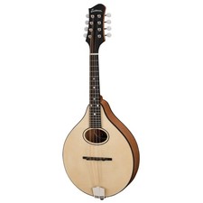 Eastman pch m104 gebraucht kaufen  Walldorf