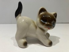 Siamese cat kitten for sale  Moline