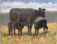 cattle pasture for sale cattle pasture for sale Centerburg