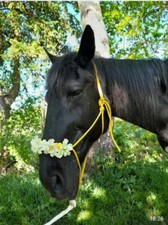 Knotenhalfter blumen gebraucht kaufen  Uetersen