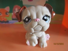 Petshop chien bouledogue d'occasion Petshop chien bouledogue d'occasion  Saint-Omer