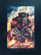 Usado, ULTIMATE WOLVERINE #1 1:100 VIRGIN VARIANT MARVEL ASSINADO POR LEE BERMEJO COM CERTIFICADO DE AUTENTICIDADE comprar usado  Enviando para Brazil