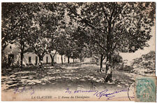 Old postcard algeria d'occasion  Expédié en Belgium