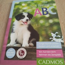 Welpen abc gebraucht kaufen  Buschkämpen