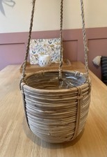 Hanging basket plant for sale  LICHFIELD