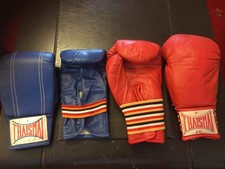 Pairs thaismai muay for sale  WARRINGTON