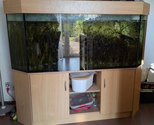 Großes aquarium unterschrank gebraucht kaufen  Oschatz