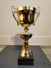 Large blank trophy for sale  DONCASTER