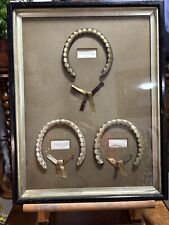 Edwardian framed horse for sale  HIGH PEAK