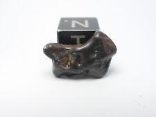2.11 golden pallasite d'occasion  Antibes