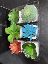 Kdelicate artificial succulent for sale  Knoxville