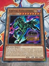 Carte cheval concombre d'occasion  Bruay-la-Buissière