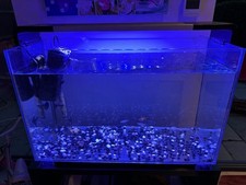 Aquarium fish tank for sale  CHELMSFORD