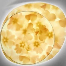 Foscarini wagashi media usato Foscarini wagashi media usato  Fondi