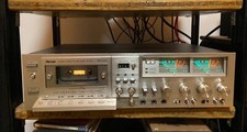 Alpage 300 stereo usato  Concesio