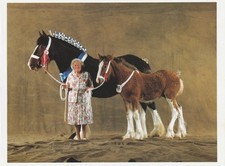 horse mare for sale horse mare for sale Middlefield