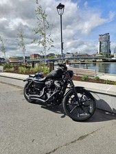 Harley davidson 883 for sale  LISBURN