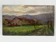 Dipinto olio tavola usato  Torino