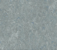 Dlw linoeco linoleum gebraucht kaufen  Wesel