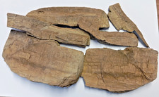 Verkieseltes holz 600g gebraucht kaufen  Schwerin