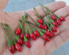 Semi peperoncino diavolicchio usato  Italia