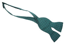 Papillon sambrook witting usato  Massa di Somma