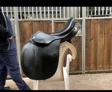 Pessoa gen 16.5 for sale  WHITCHURCH