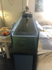 Acquario 500lt. vetro usato  Villesse