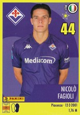 Panini calciatori 2024 usato  Milano