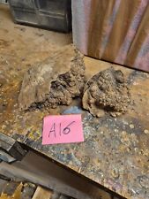 Burr elm pieces for sale  KINGS LANGLEY