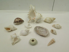 Collection natural sea for sale  UK