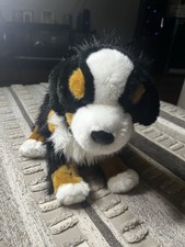 Douglas trevor bernese for sale  Fort Worth